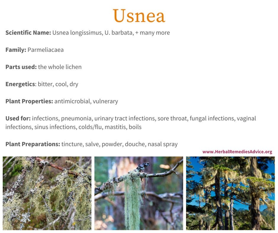 Usnea Tincture Clears Infections, Open Airways & Congestion, STDs & VD symptom