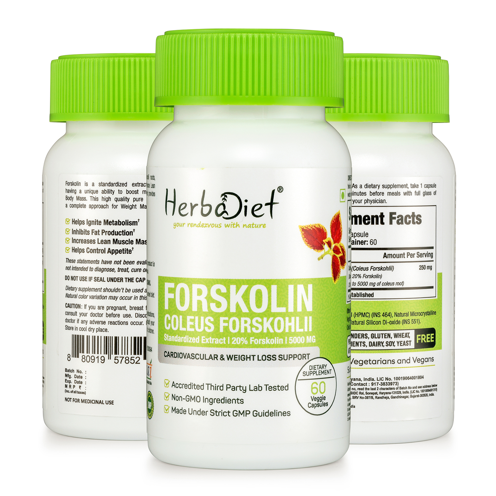 Forskolin Extract Coleus Forskohlii Capsules 20% POWERFUL Weight Loss Fat Burner