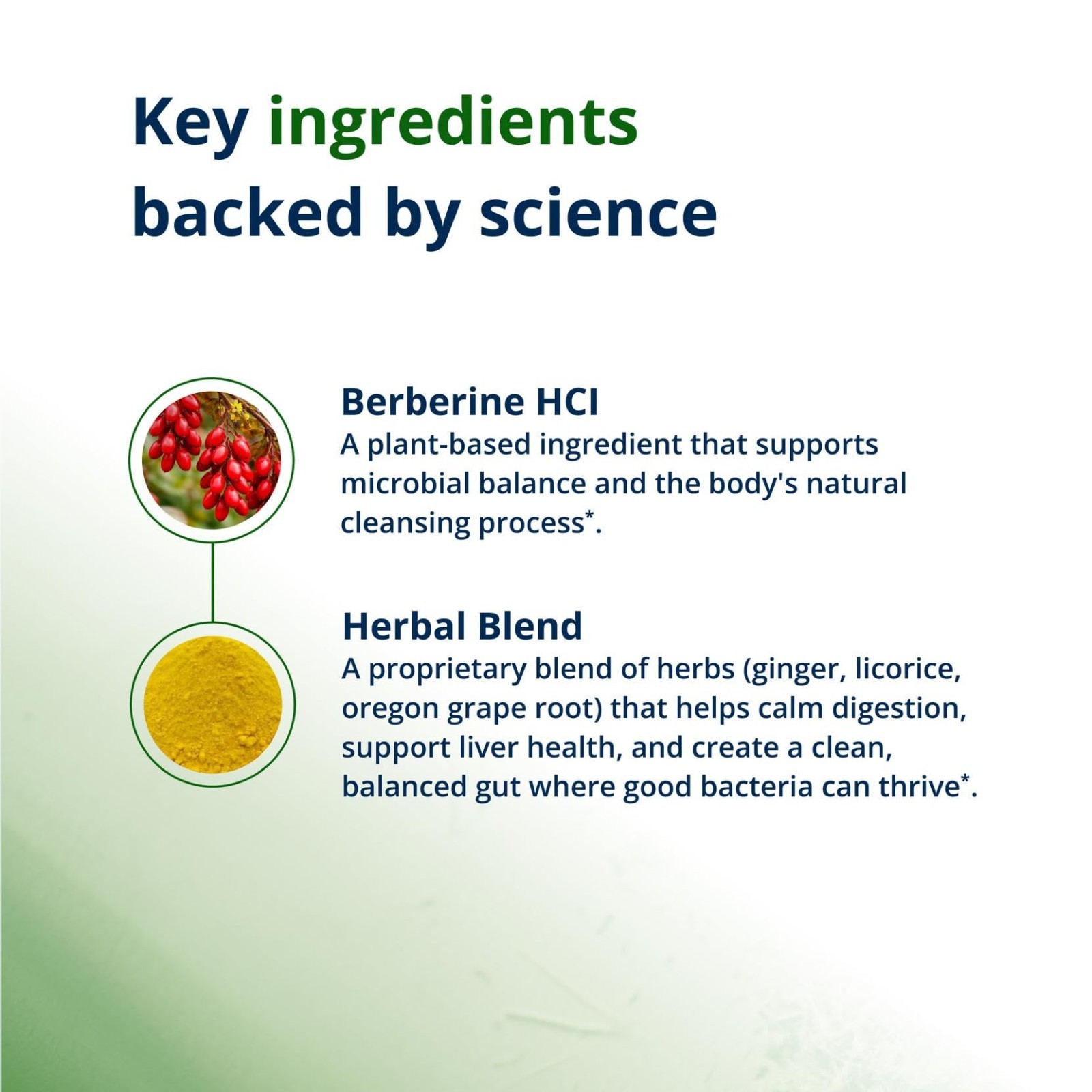 Concentrated Berberine 400mg for Gut Health & Microbial Balance – 180 Tablets