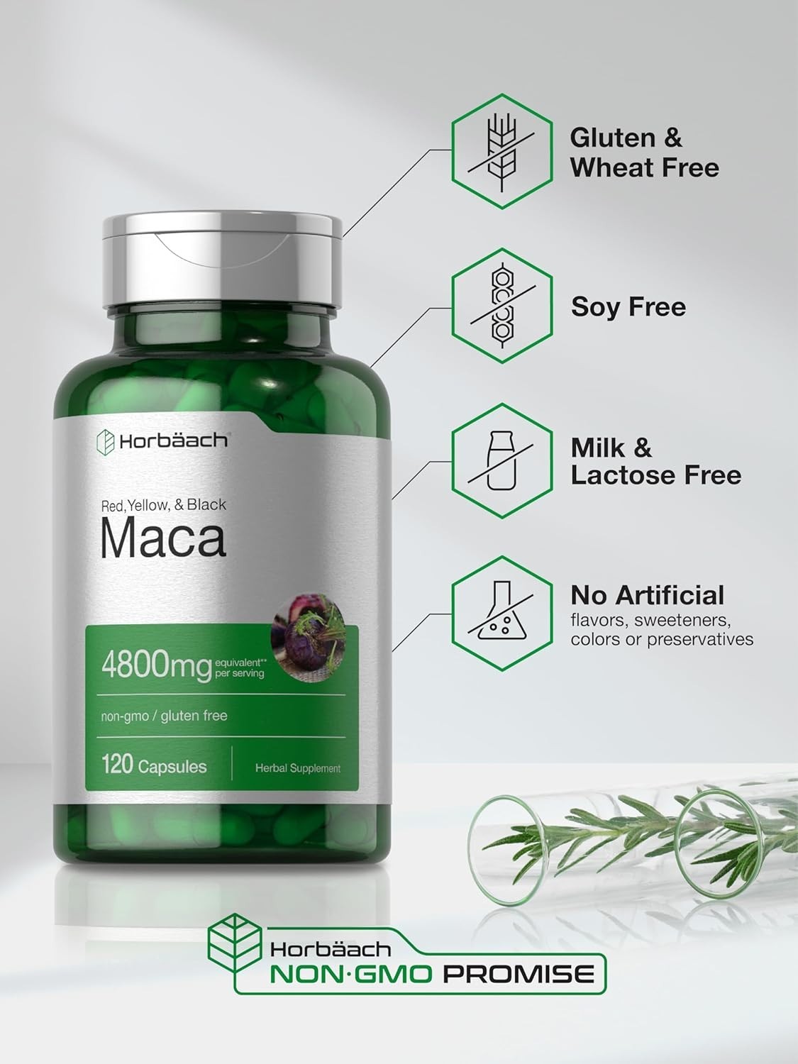 Horbäach Maca Root Capsules for Men and Women | 120 Pills | High Potency Extract