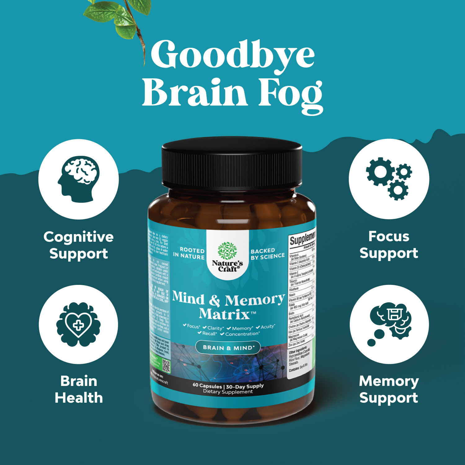 Advanced Nootropics Brain Supplement – Synergetic Mental Energy and Focus 60ct