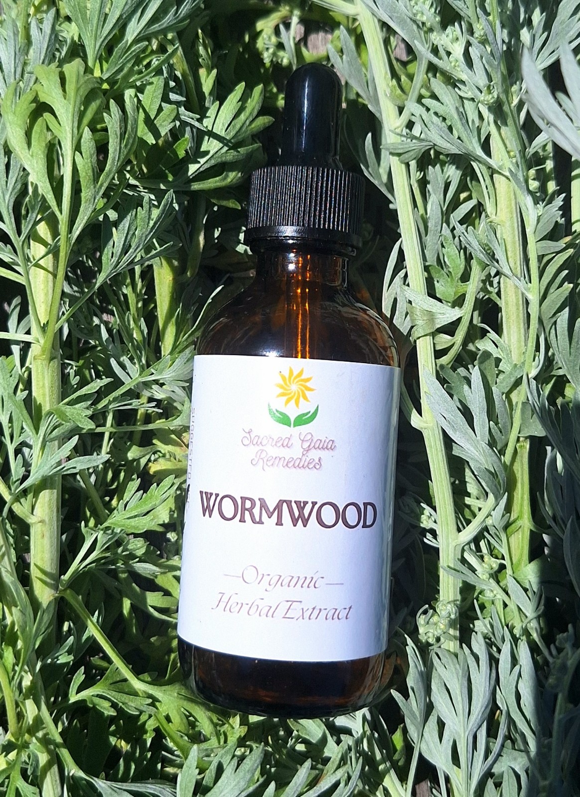 Wormwood Tincture, Organic Herbal Extract, Artemisia Absinthium, Fresh