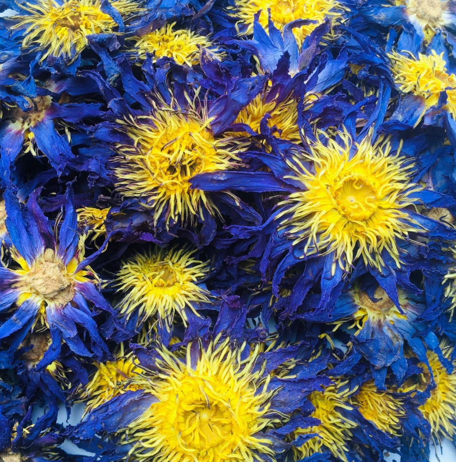 Egyptian Blue Lotus Whole Flower 400 Grams – Nymphaea Caerulea – Best Quality