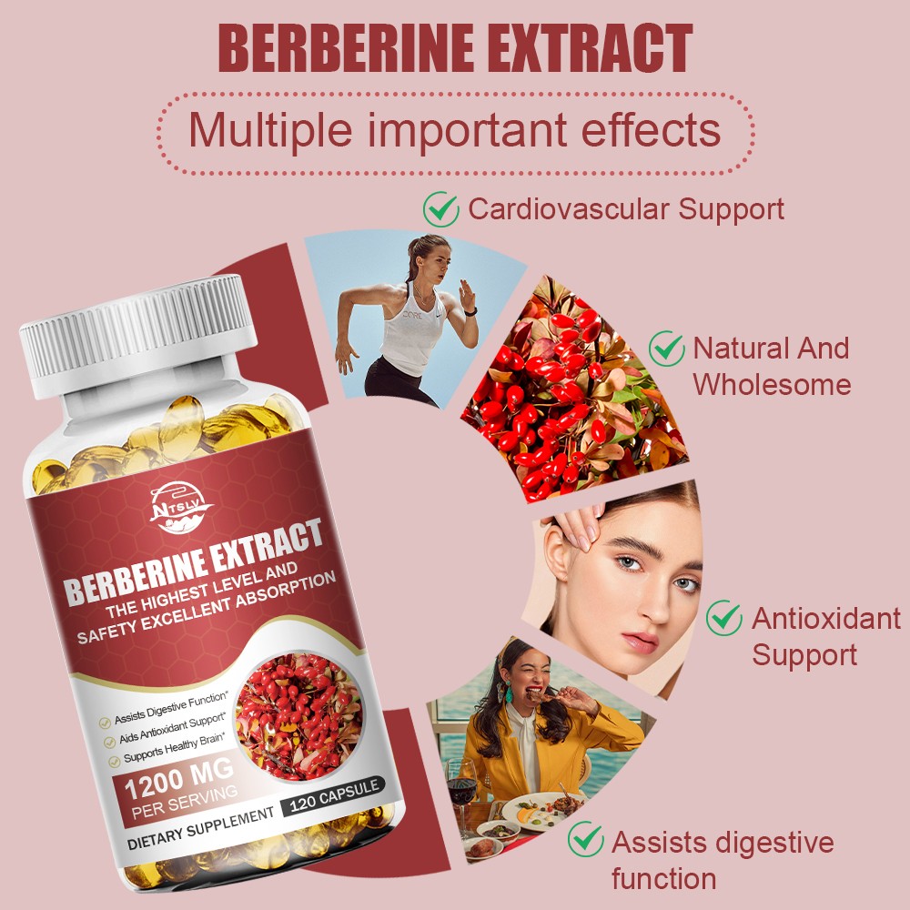 Berberine Extract 120 Capsules Antioxidant Digestive Brain Health Support