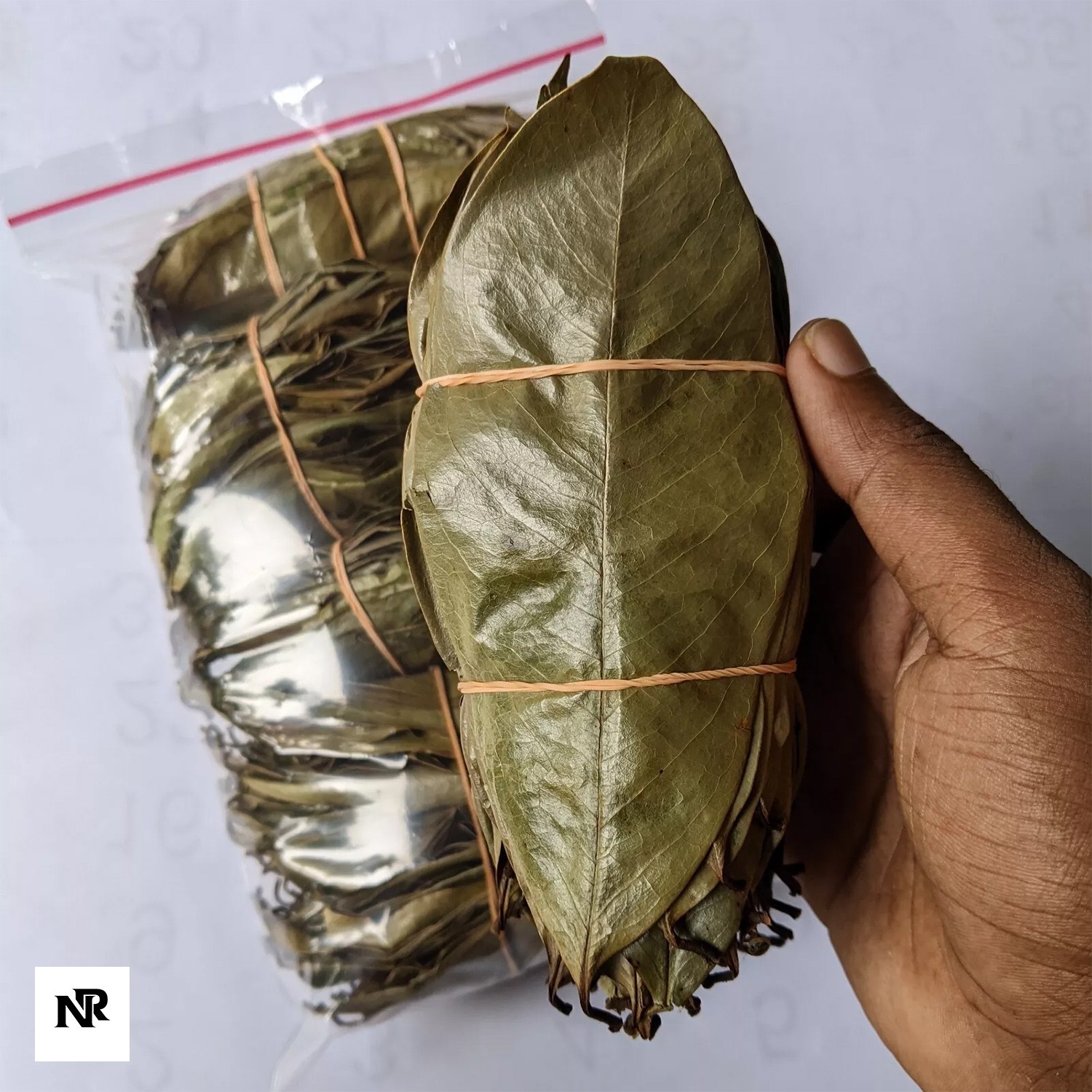 Soursop Leaves, Hojas De Guanabana Leaf, Tea, Graviola Leaves 300+