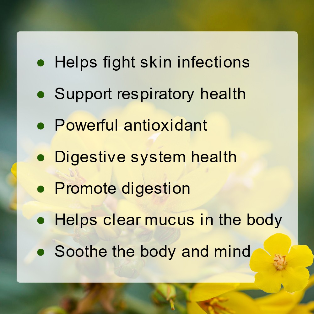 Mullein Leaf Extract Natural Herbal Lung Cleanse Tea for Lung Health 60D