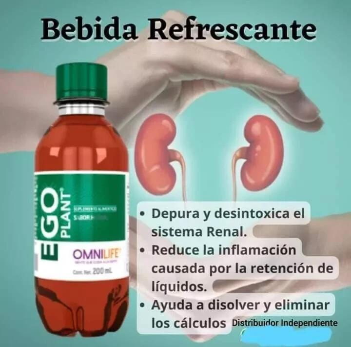 Ego Plant Cuida Tus Riñones El original Omnilife, Pack 20 Bottles Fast Shipping.