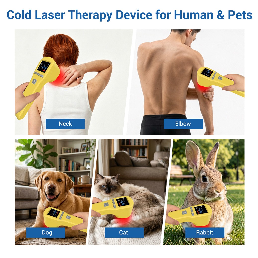 Laser Therapy 808mW Red Light Physiotherapy for Arthritis Heel Spurs Pain Relief