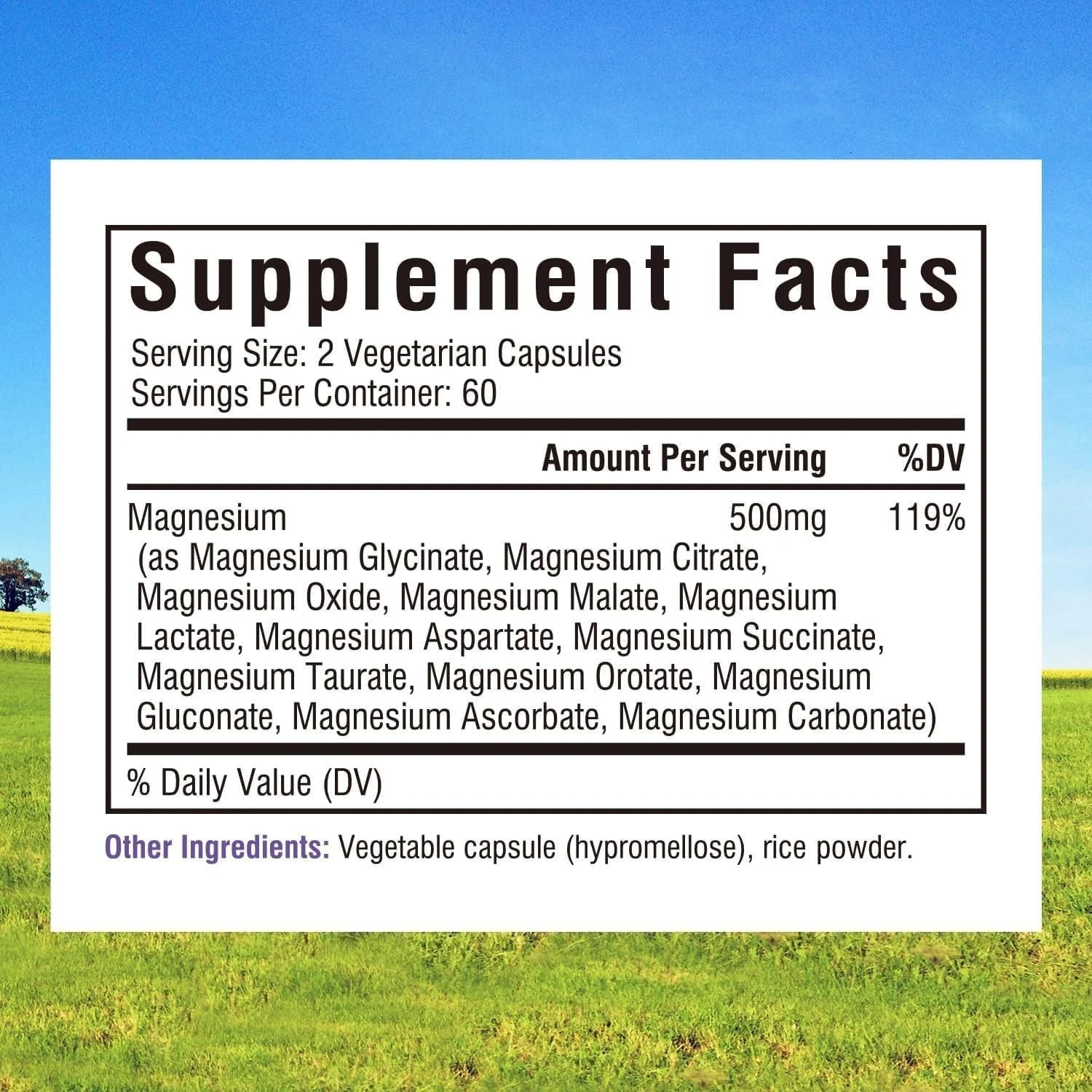 Innate Vitality 12-in-1 Magnesium Complex, 500 mg 120 Count (Pack of 1)..