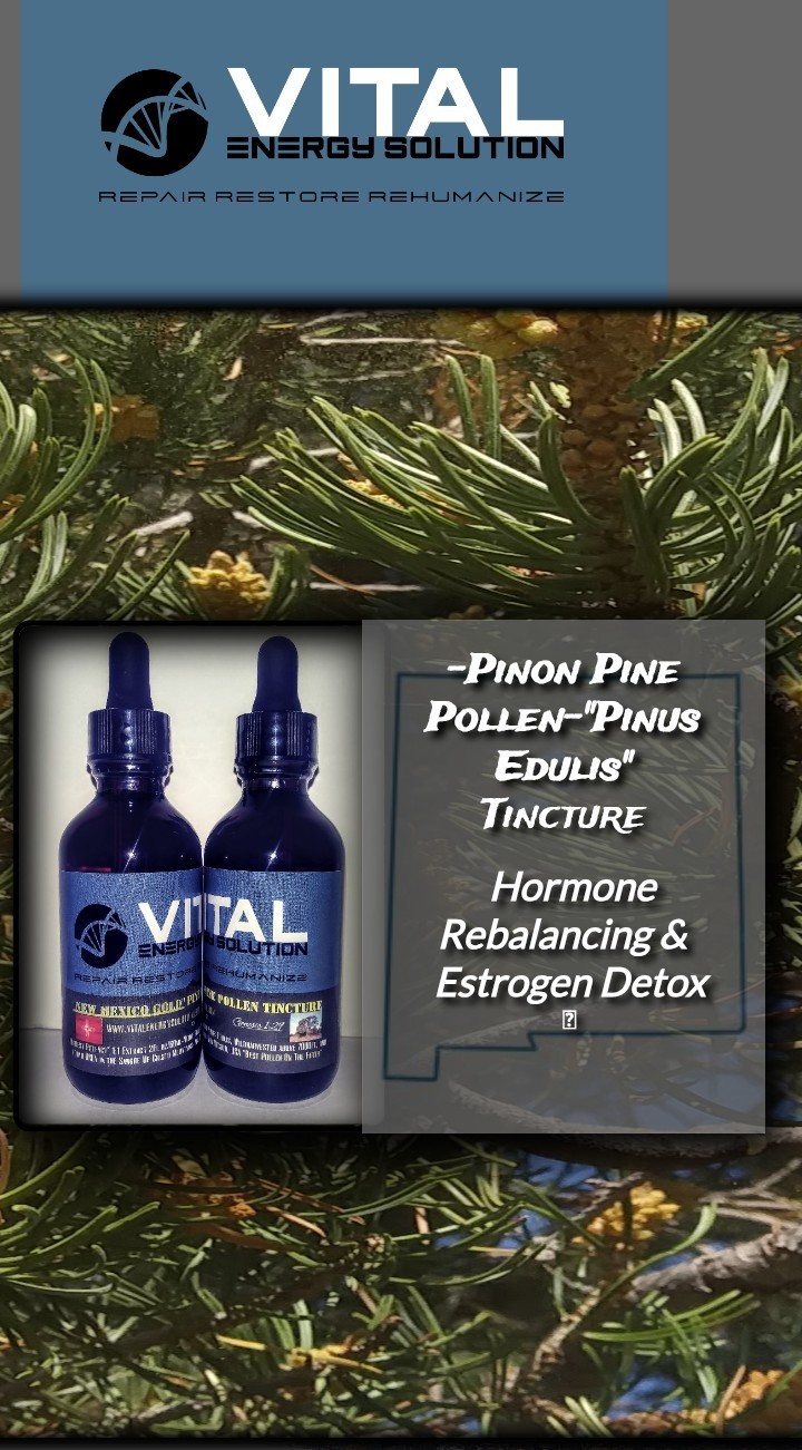 Vital Energy Solution, Pinon Pine Pollen (Pinus Edulis) Tincture, 1:1 Extract
