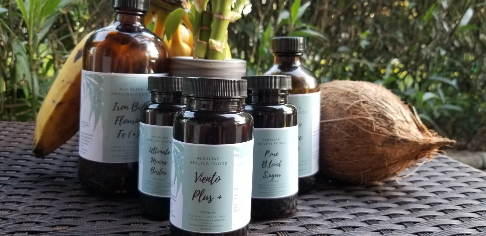 Viento plus Dr Sebi approved ALKALINEHEALINGFOODS 