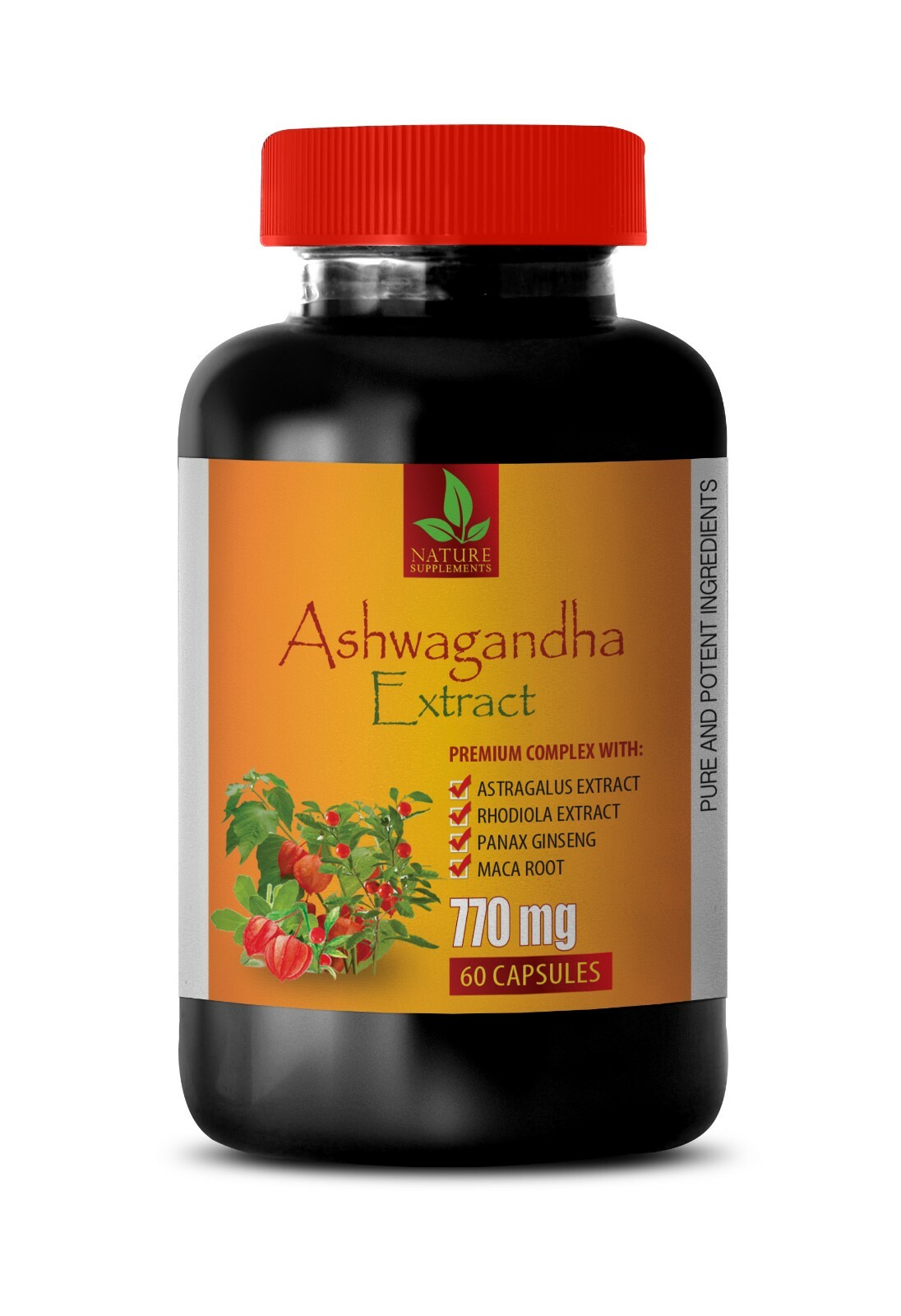 immune support – ASHWAGANDHA COMPLEX – astragalus ashwagandha 1 BOTT