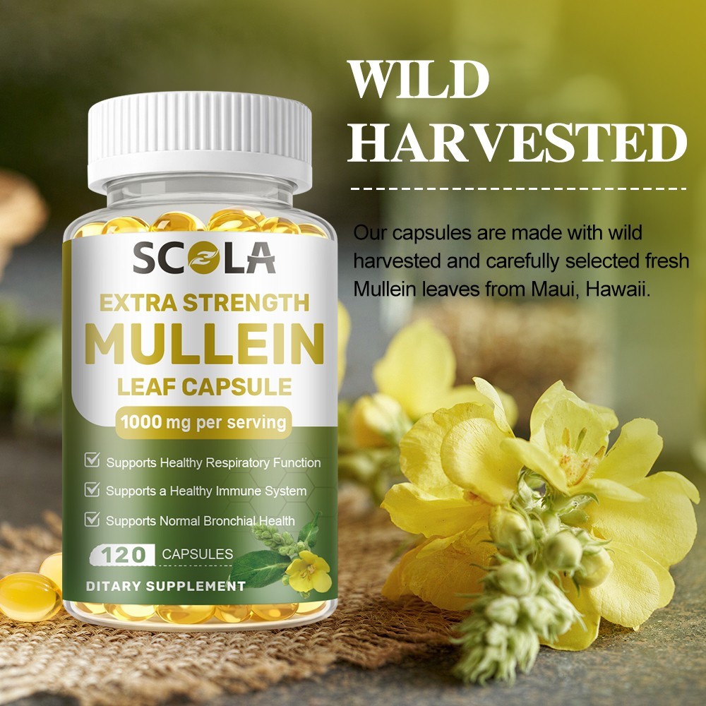 Mullein Leaf Capsules 1000mg – Support Lung Cleanse Respiratory Health Vegan