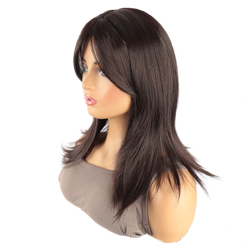 Brown Parted Bangs Long Straight Wig for Women Heat Resistant Synthetic Full Wig