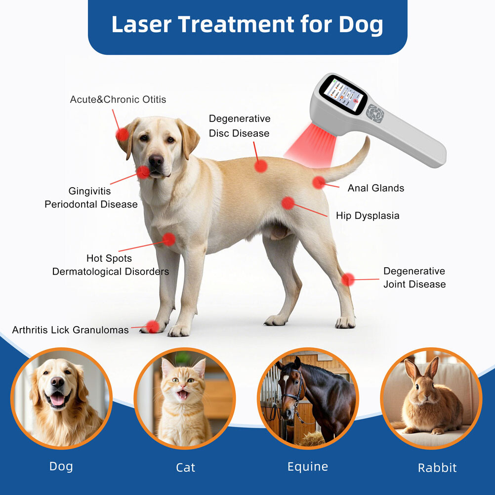 Handheld Class IV Laser Therapy Device 25 Diodes Arthritis Muscle Pain Recovery
