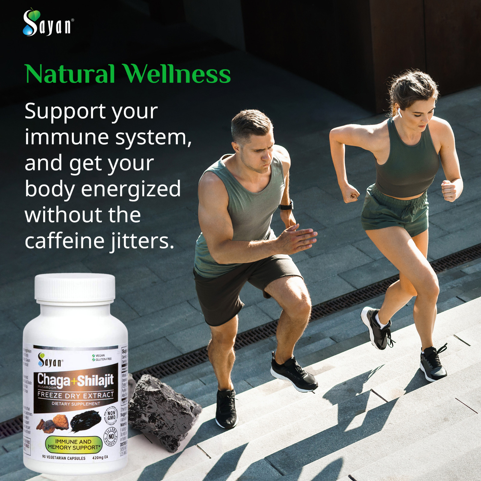 Chaga Mushroom & Shilajit Supplement 90 Caps Siberian Natural Immune Support
