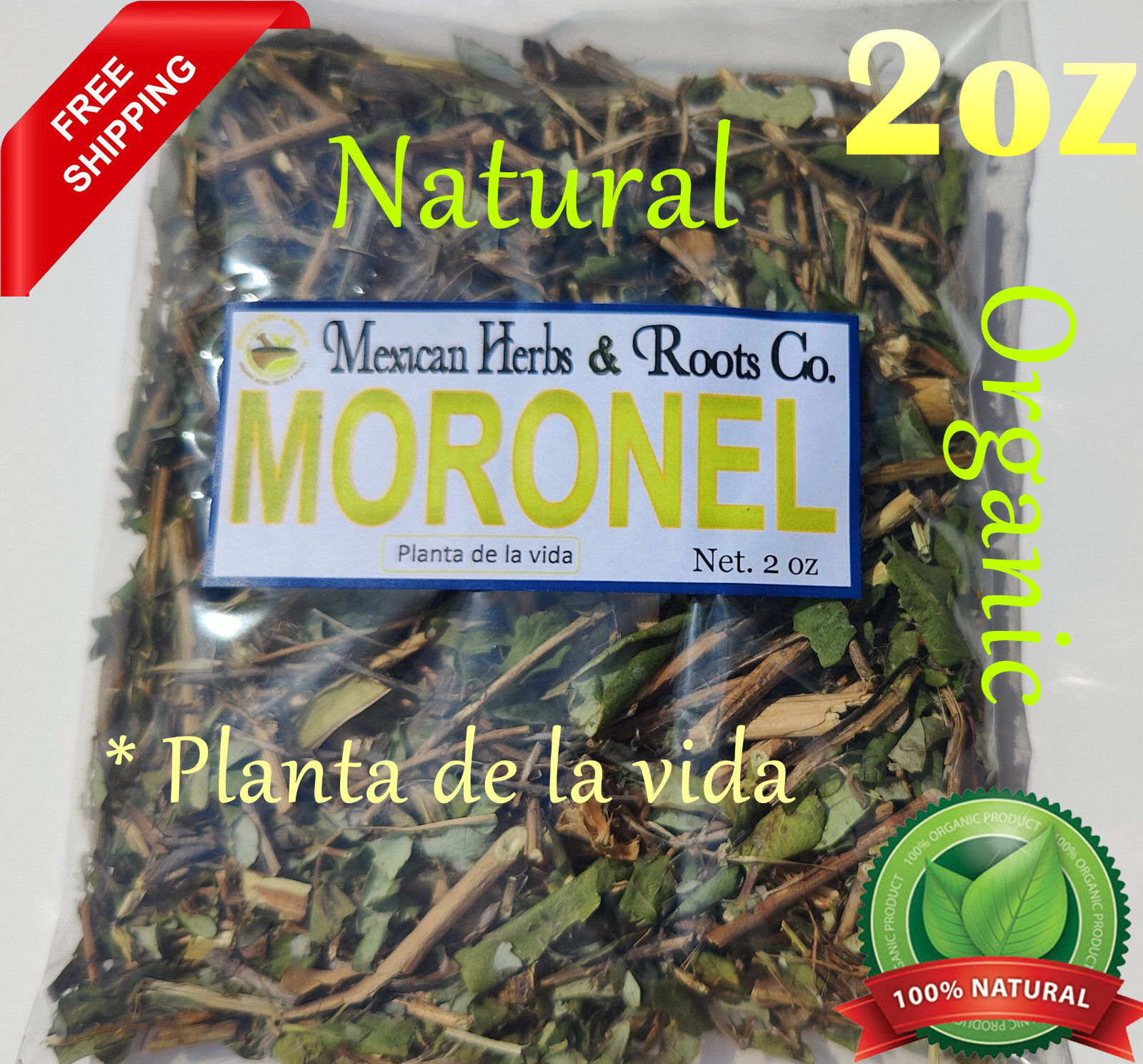 Moronel Planta de La Vida Te de moronel moronel organico hierba mexicana