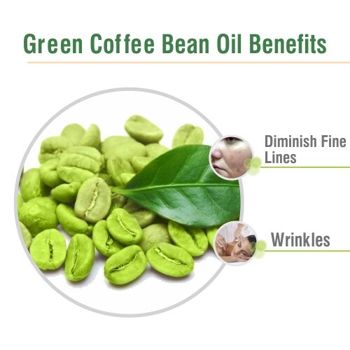 Green Coffee Bean Essential Oil for Diffuser – 100% Pure & Natural 10ml–5000ml,