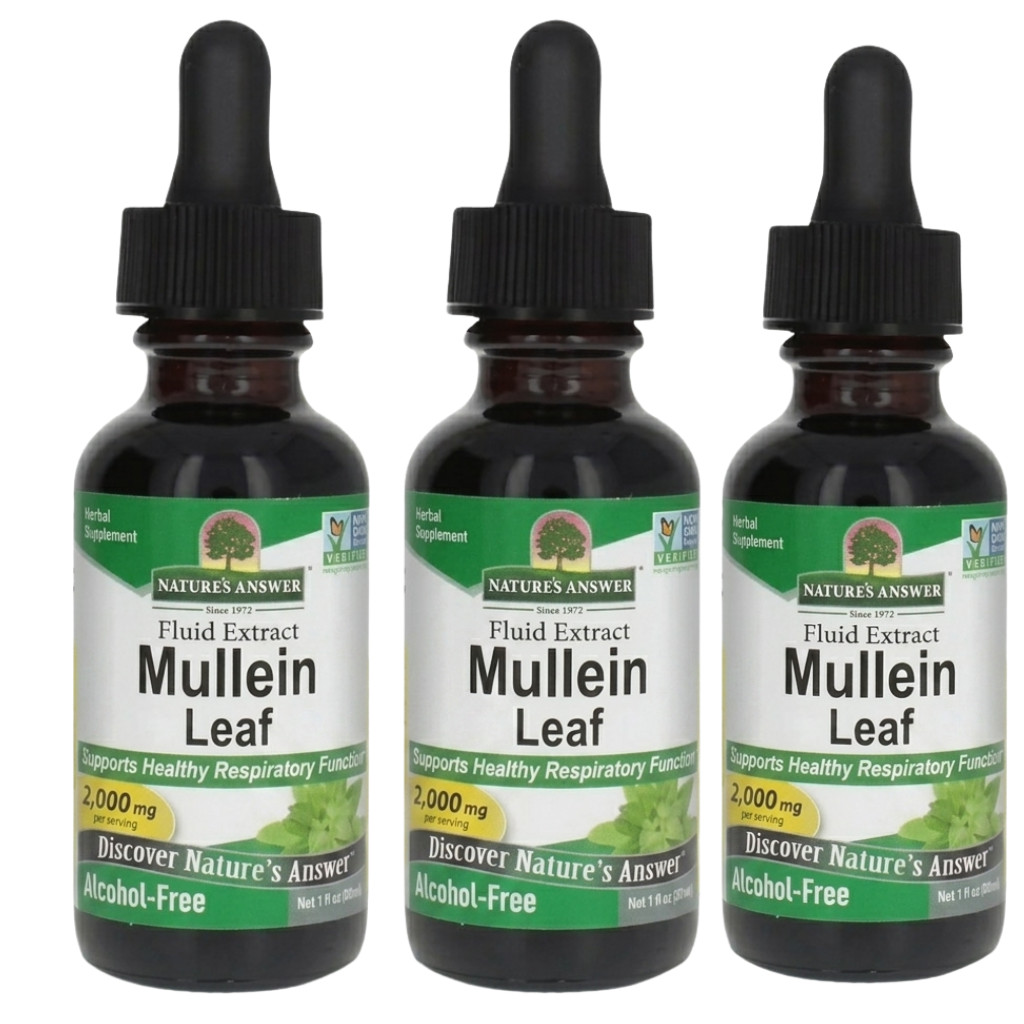 Nature’s Answer Mullein Leaf Extract 3 Pack 1oz Alcohol Free Lung Respiratory