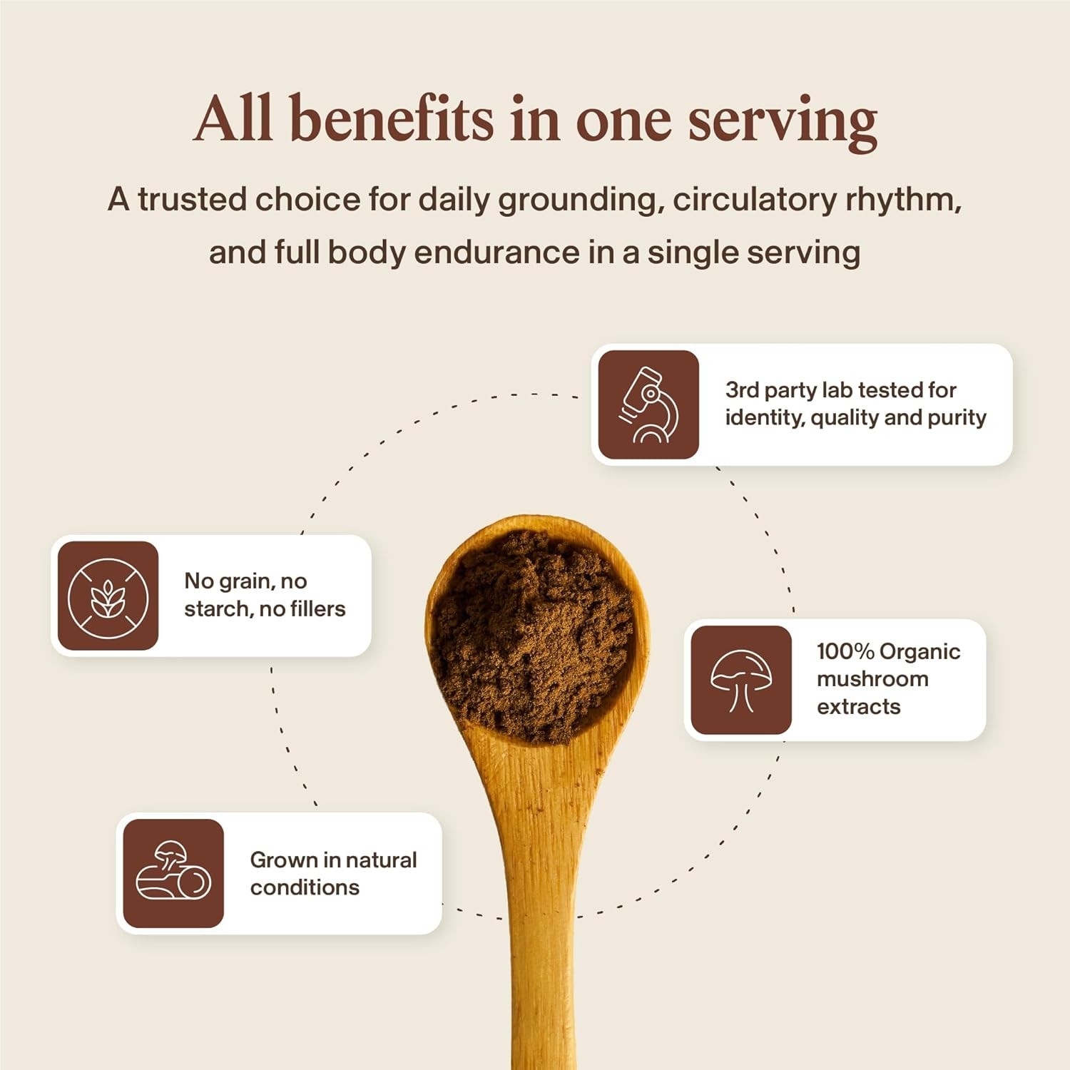 Organic Red Reishi Extract – Digestive Health Boost with Verified Beta Glucans