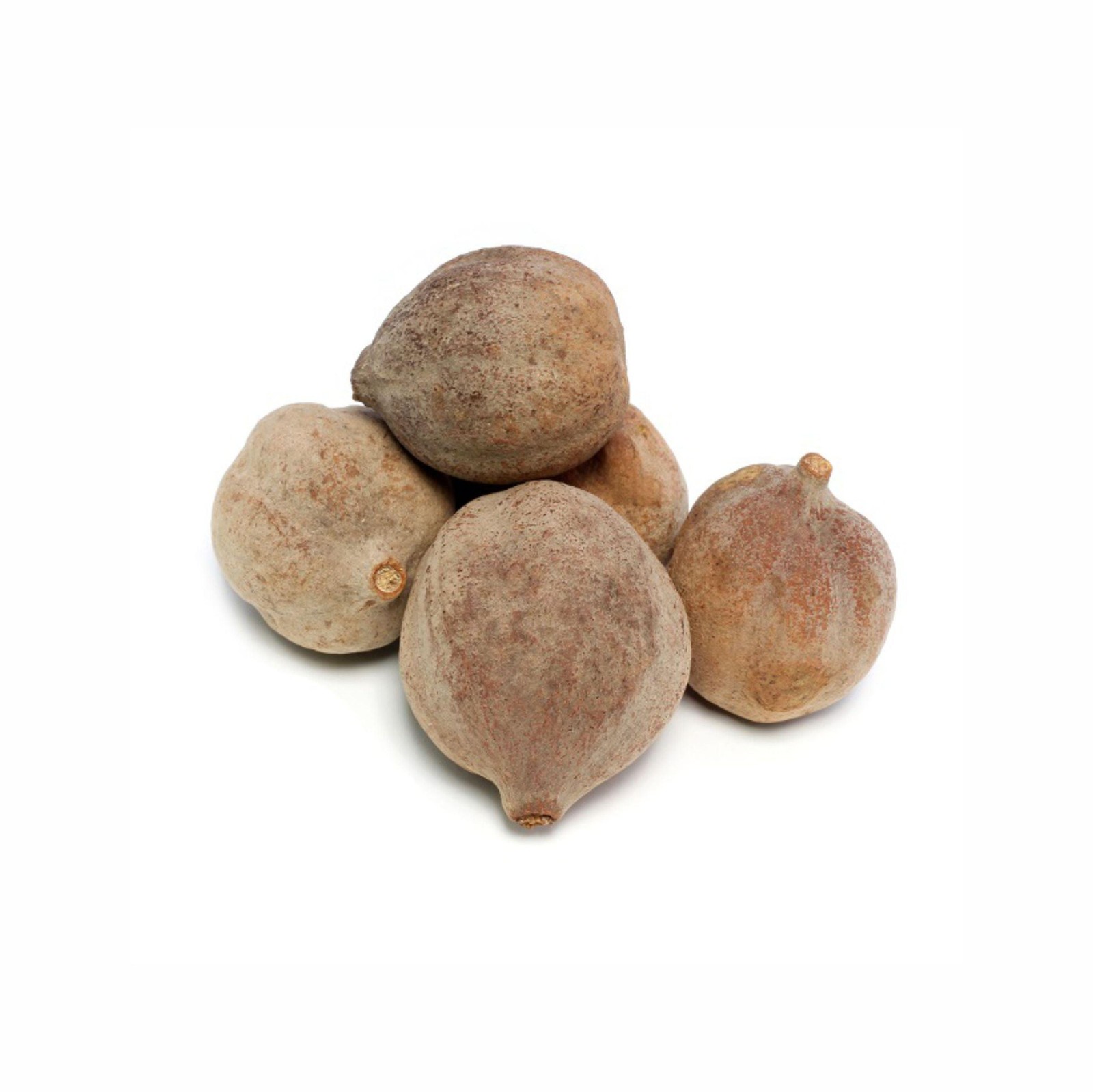 Bibhitaki Ayurvedic Herbal Dried Terminalia Bellirica Bahed INDIAN Free Shipping