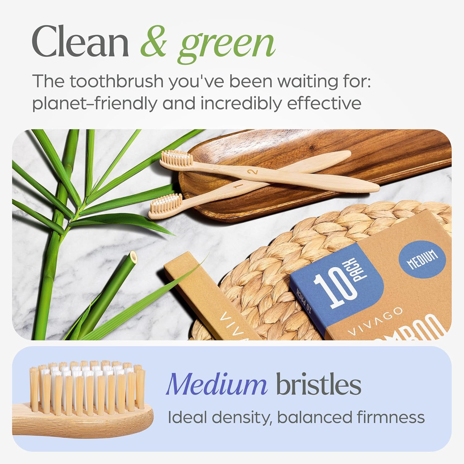 Toothbrushes Medium Bristles 10 Pack BPA Free Medium Bristles Toothbrushes Adult