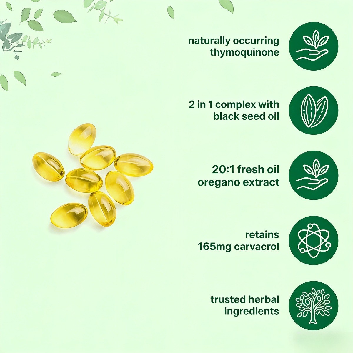 Oil of Oregano Non-GMO Oil Black Softgels, & Count, 300 with Seed Gluten-Free