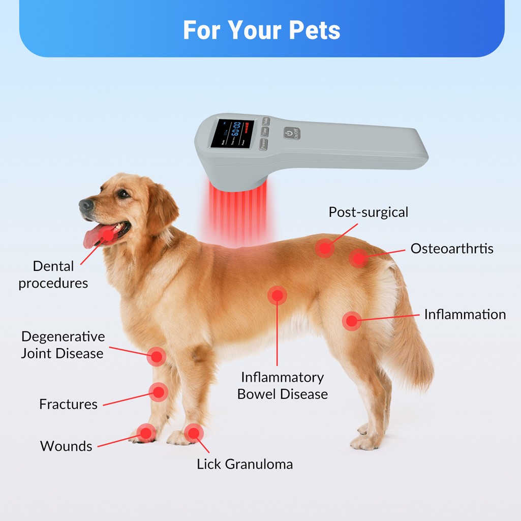 880mW Cold Laser Therapy for Back Pain Relief Red Light & Infrared 650nm+808nm