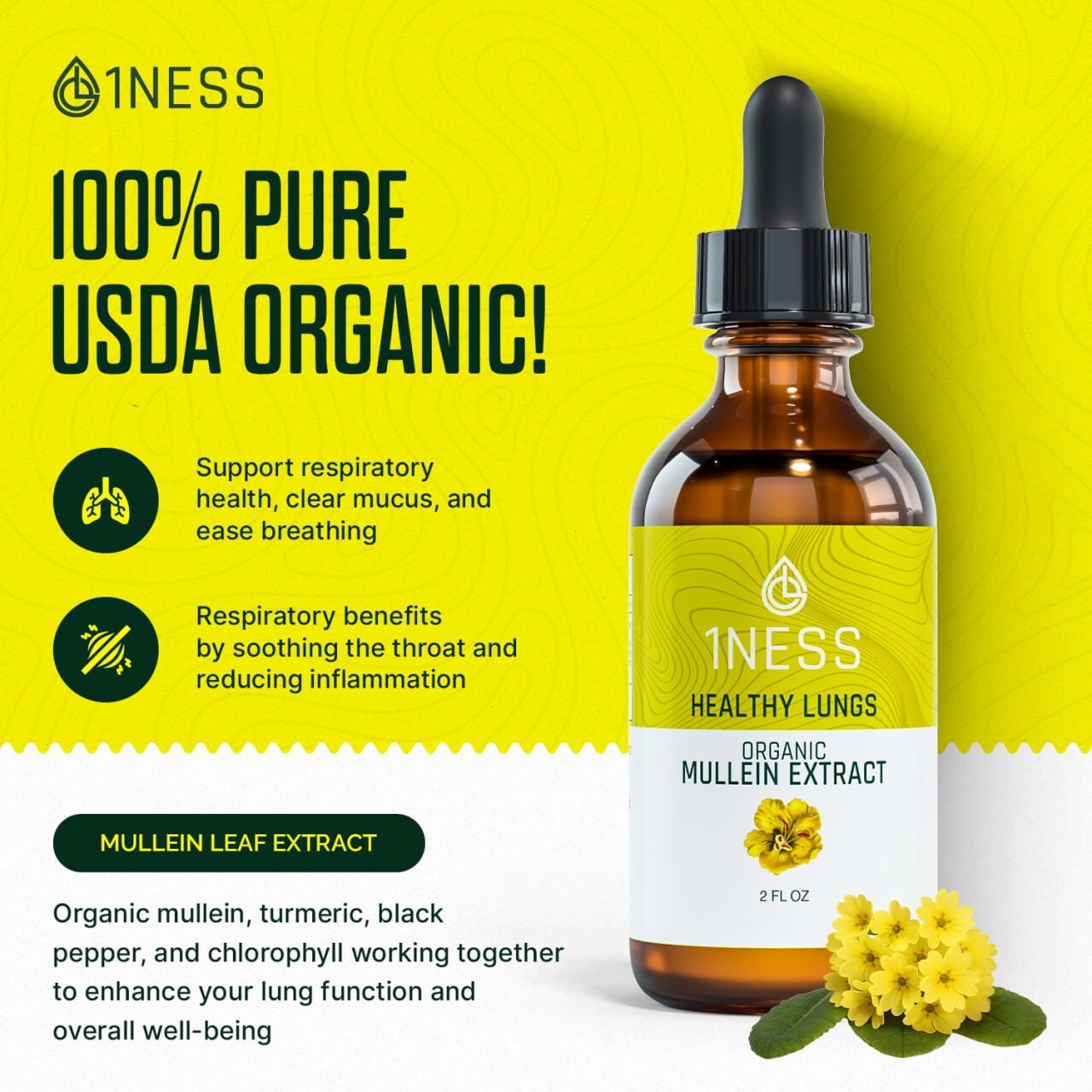 Mullein Drops for Lungs Cleanse – USDA Organic Mullein Leaf Extract w/ Turmeric