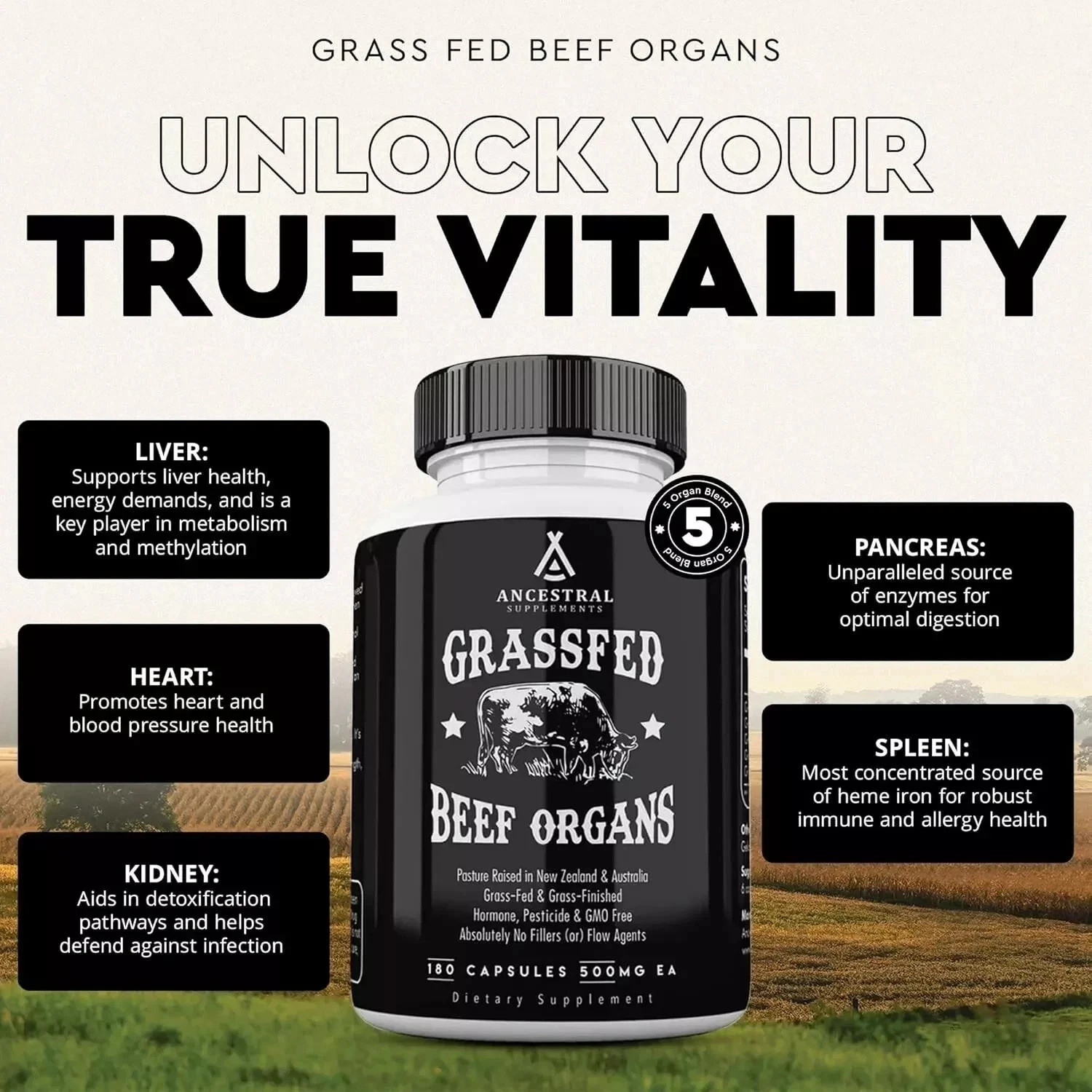 180 Capsules Ancestral Supplements Grass Fed Beef Organ Supplement-3 bottles