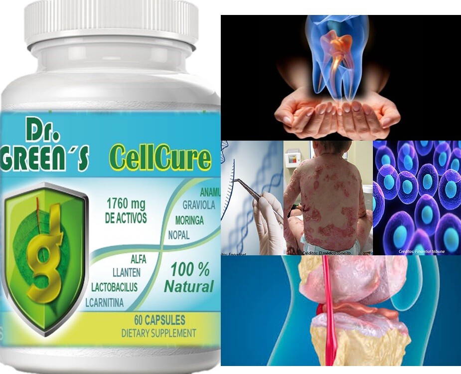 Madre Cell Vital Plus Celulas Madres Biomatrix Biotrix Alga bacterium cell