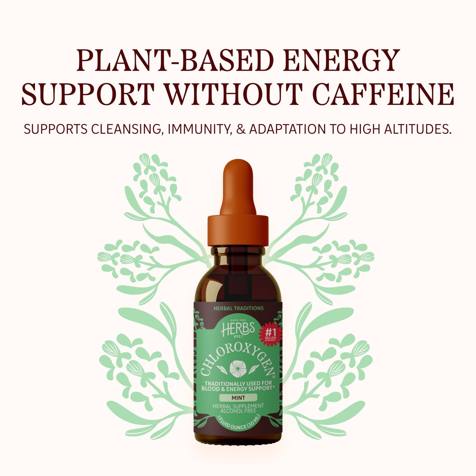 Chlorophyll Liquid Extract Drops – Mint Flavor, Alcohol-Free, Detox & Energy Boo