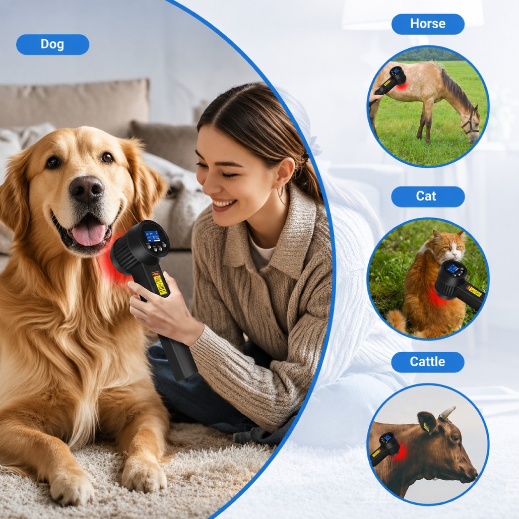 8W Class IV LLLT Laser Therapy Device for Sports Injuries Pets Pain 808nm 650nm