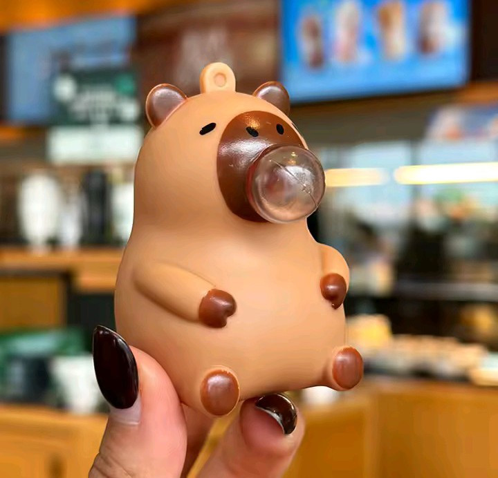 1 Pc BUBBLE Capybara Squishy Bubble Keychain Stress Relief Squeeze Toy Pendant