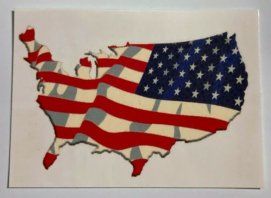 US Flag Continental America Vending Machine Temp Tattoos (2) United States Pride