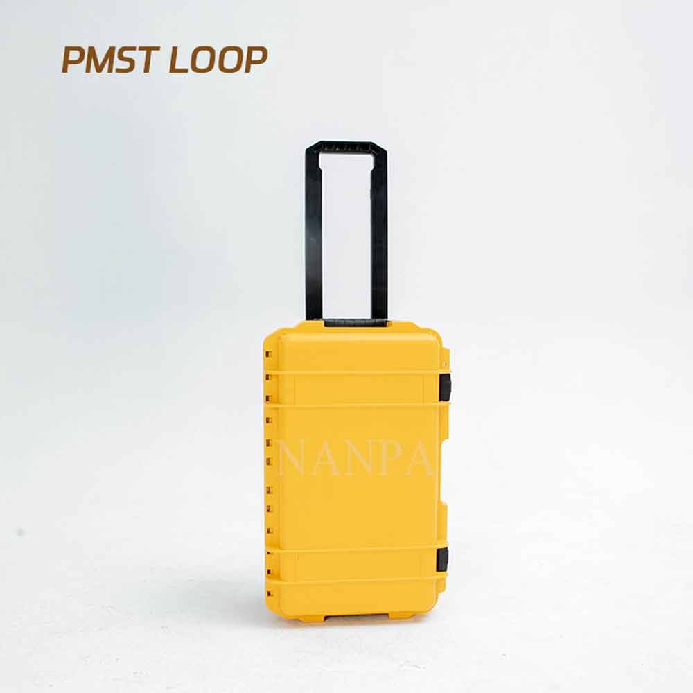 Pro PEMF Pulsed Electromagnetic Field Therapy Machine Magnawave PEMF Therapy Mat