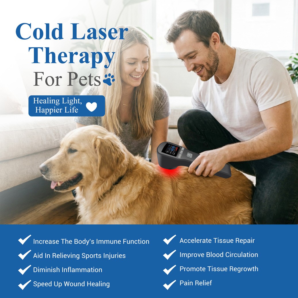 20 Diodes Pain Relief Soft Laser Therapy Device LLLT Red Light 650nm & 808nm NIR