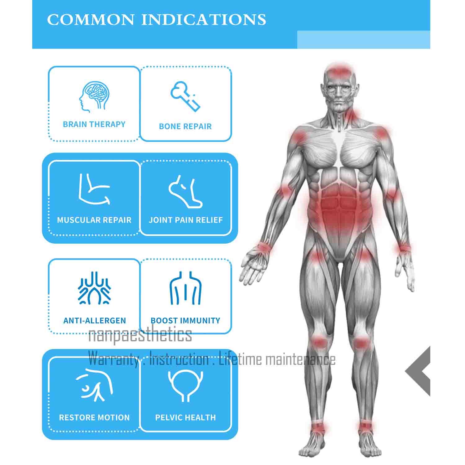 Professional Pmst Loop Pemf Magnetic Therapy System Pain Relief Physical Machine