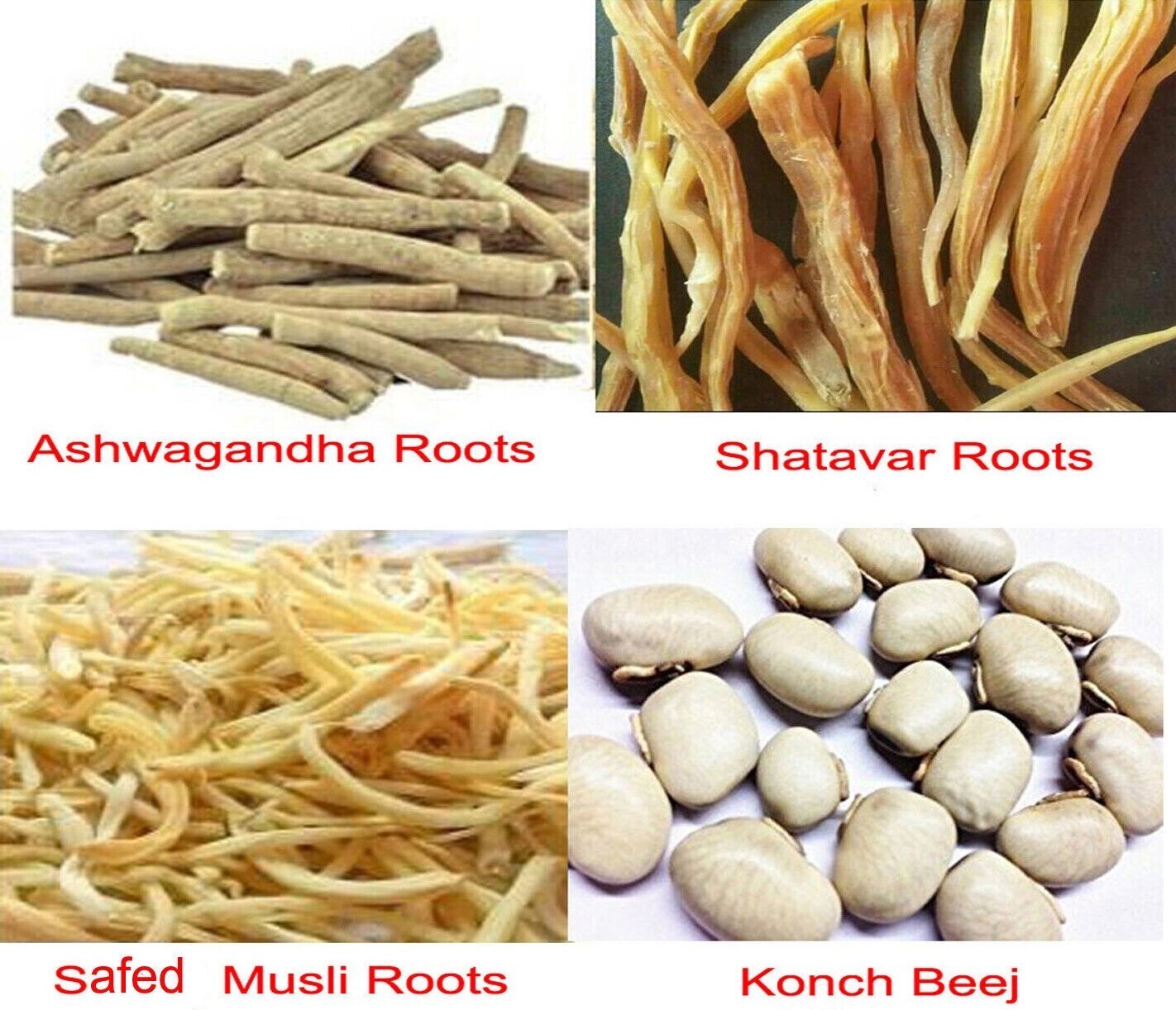 Safed Musli Shatavar Ashwagandha Konch Beej Roots Pack Complete Solution For Men