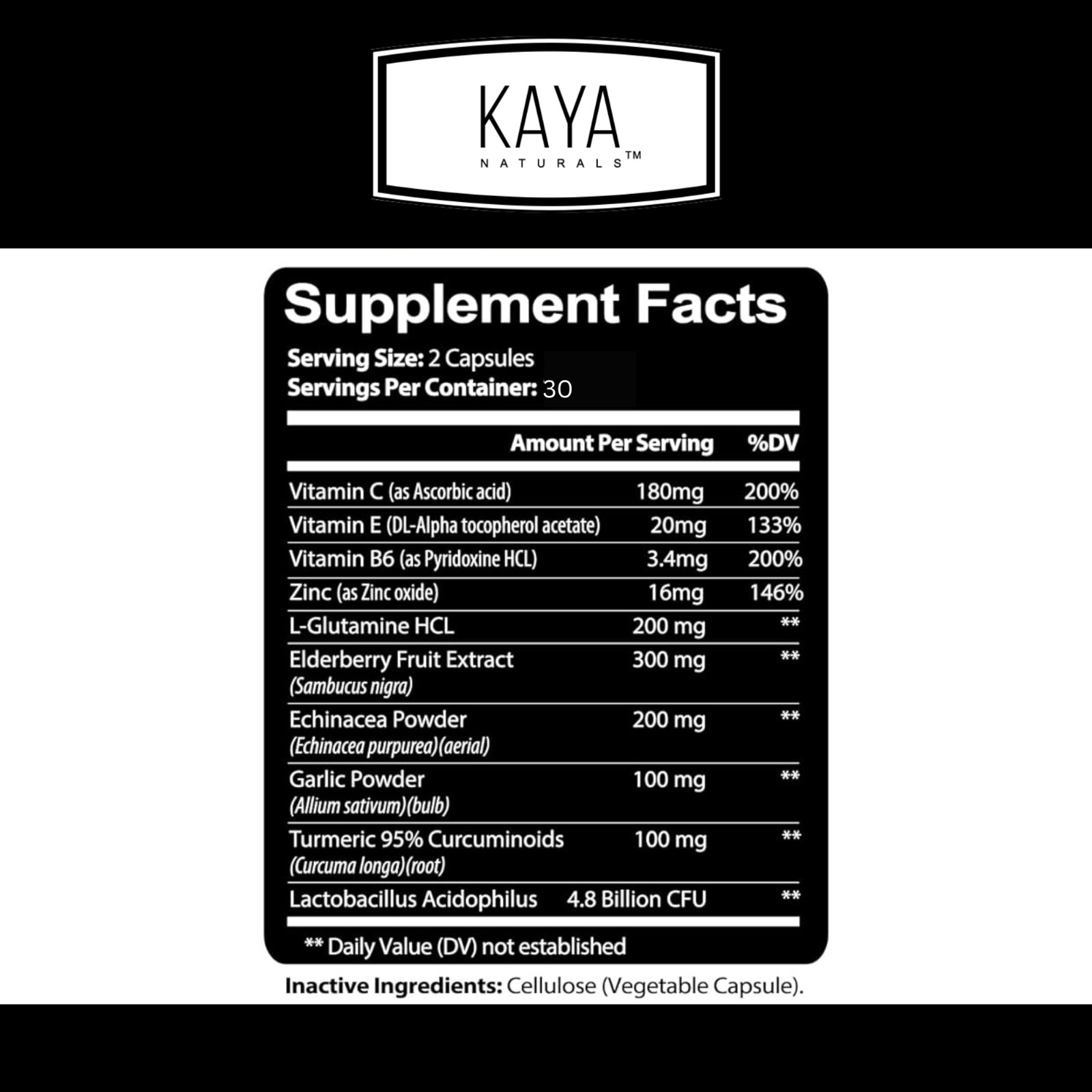Immune System Booster, Elderberry, Zinc, Probiotics, Echinacea, Garlic, Turmeric