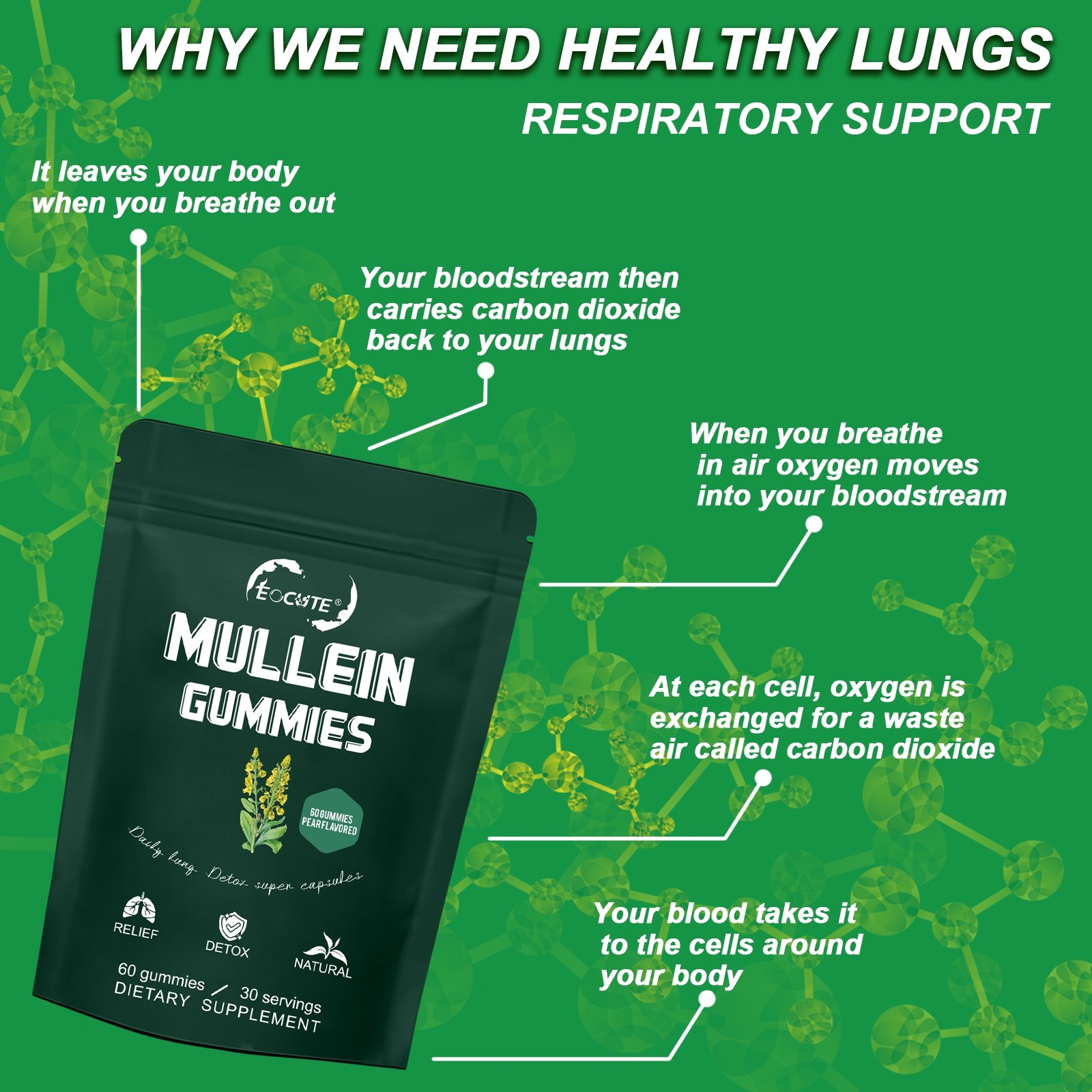 Mullein Leaf Extract Gummies for Lung Cleanse, Extra Strength 10000 MG NEW