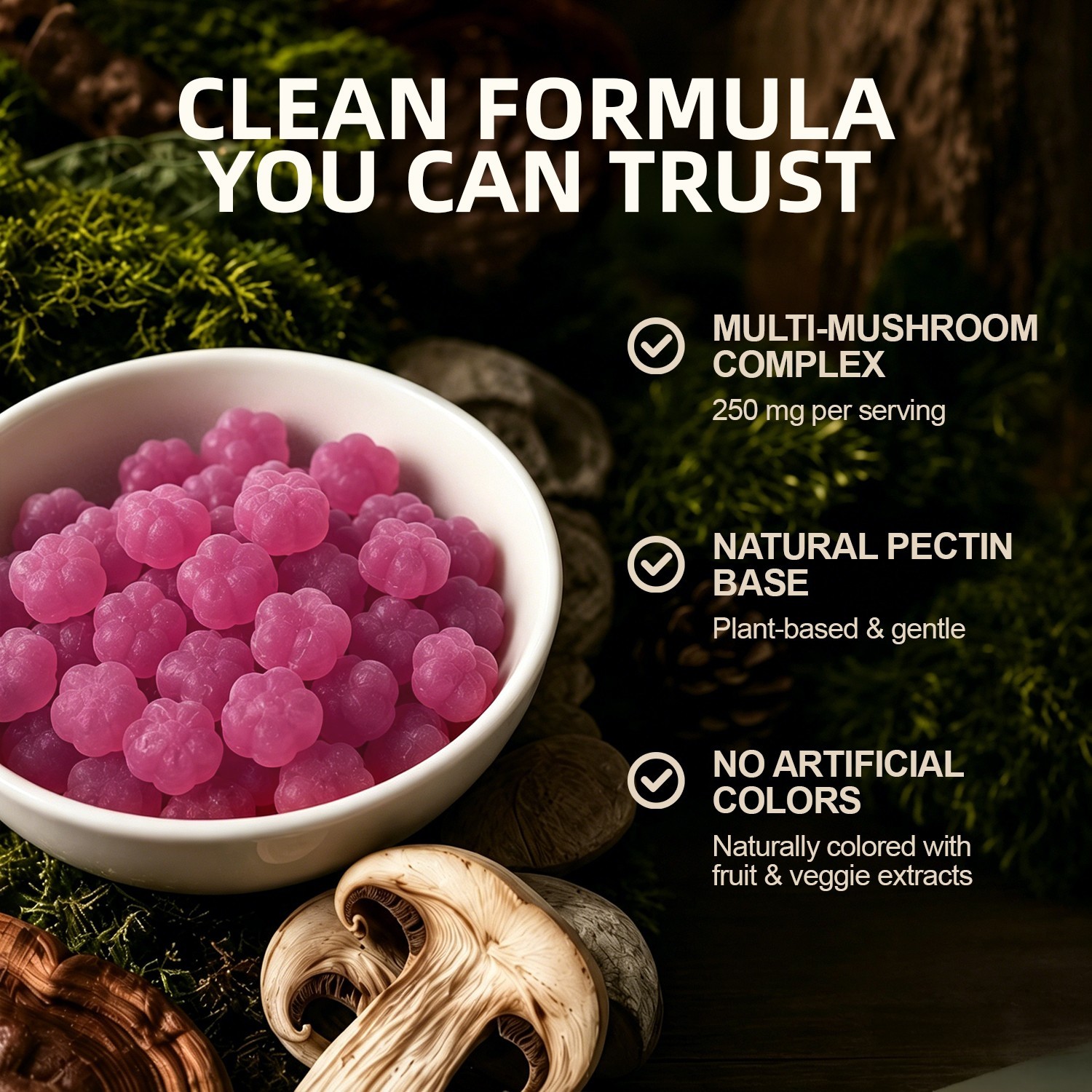 10x Mushroom Complex Supplement, Lions Mane, Reishi, Shiitake, Immune Gummies