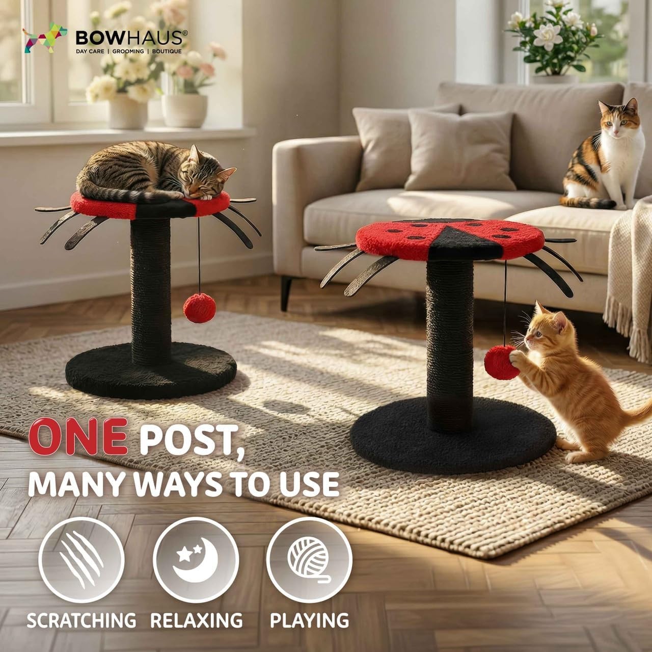 CAPHAUS Scratching Post,10 Inch Modern Lady Bug-Style Cat Scratchers for Indoor