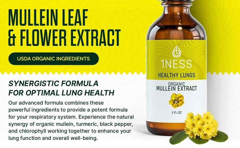 Mullein Drops for Lungs Cleanse – USDA Organic Mullein Leaf Extract w/ Turmeric