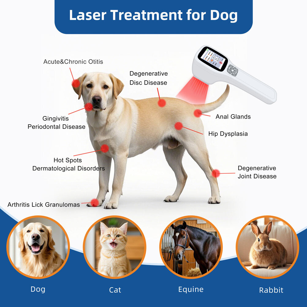 650nm 808nm 905nm 980nm Red Infrared Laser Therapy Device Human Pain Relief Home