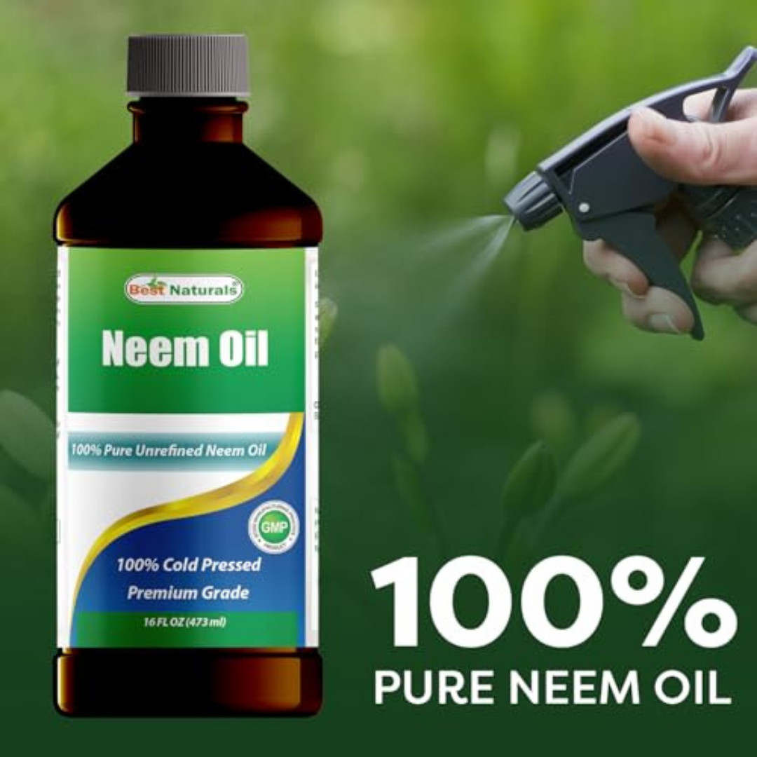 100% Pure Neem Oil, 100% Cold Pressed and Unrefined – 16 OZ (1 Bottle)