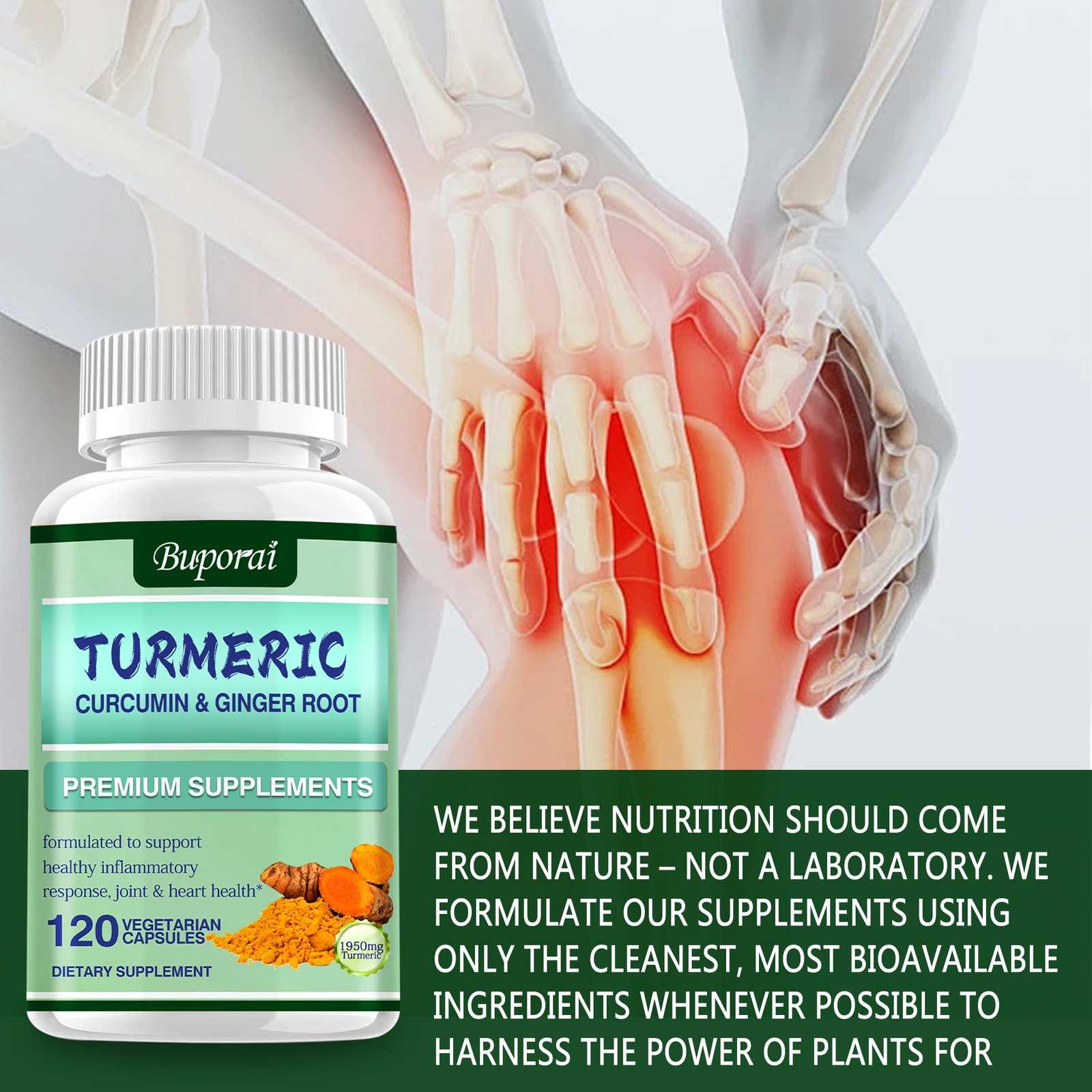 Turmeric Curcumin & Ginger Root Premium Supplements – Joint and Heart Health