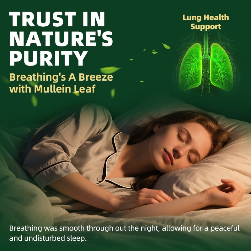 Mullein Leaf Extract Super Concentrated 420,000 MG 2 FL.OZ/60 ML Lung Cleanse