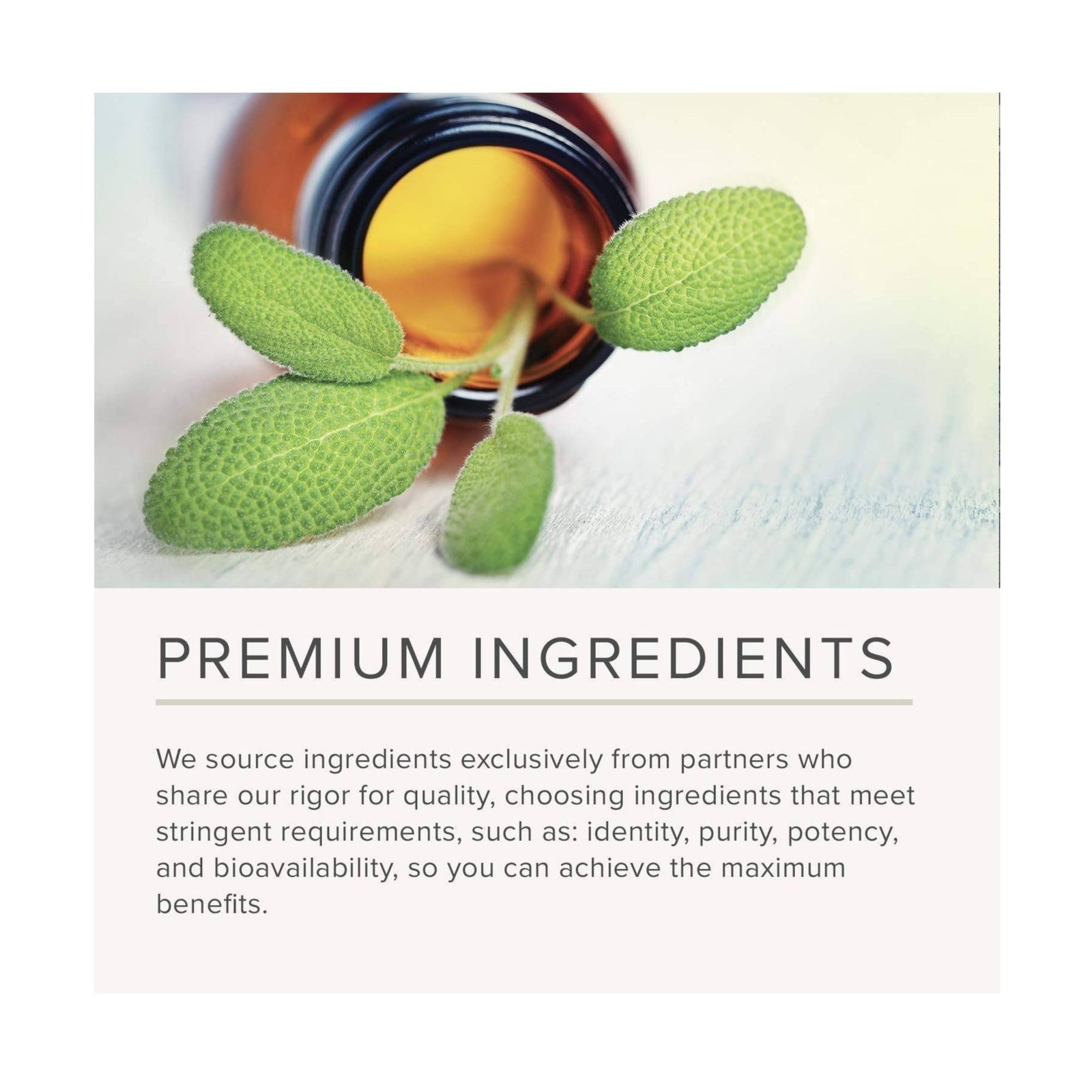 NusaPure Mucuna Pruriens 22500mg 150 Veggie Caps Non-GMO, Vegan