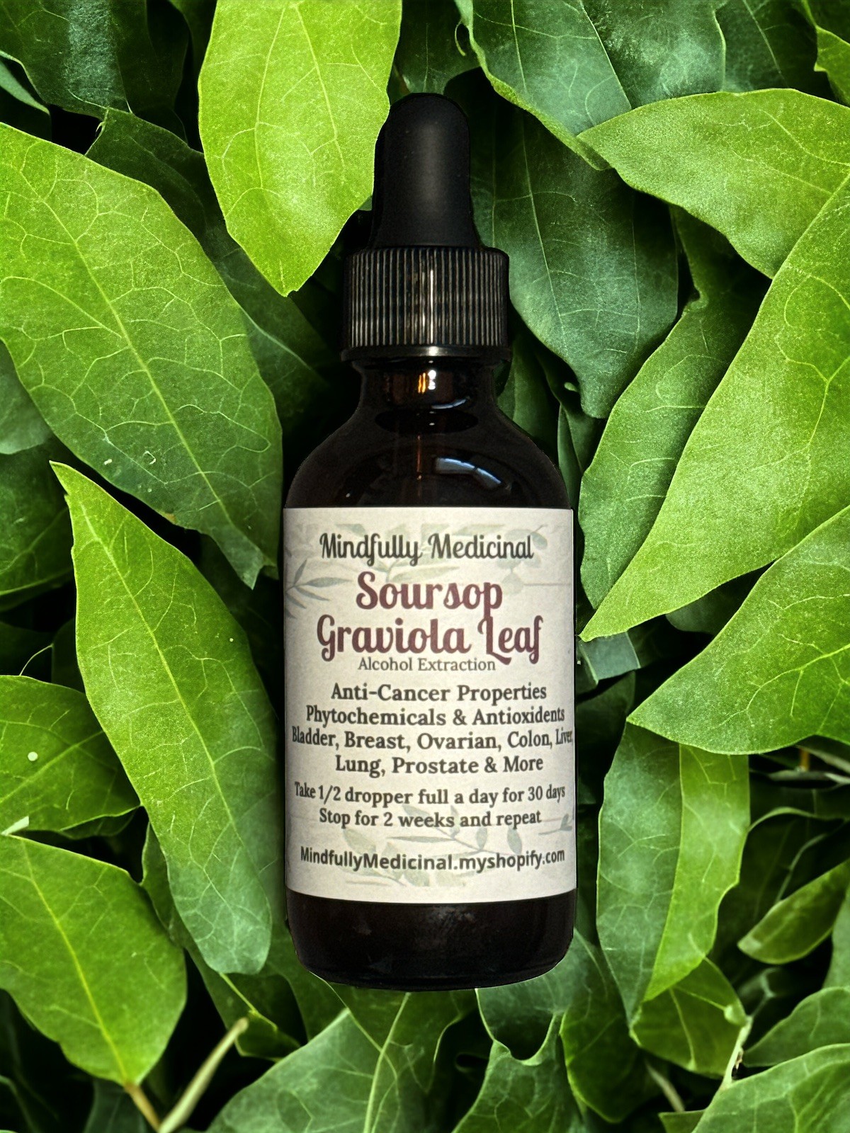 Organic Soursop Leaf Tincture Handcrafted Herbal Extract 2 oz